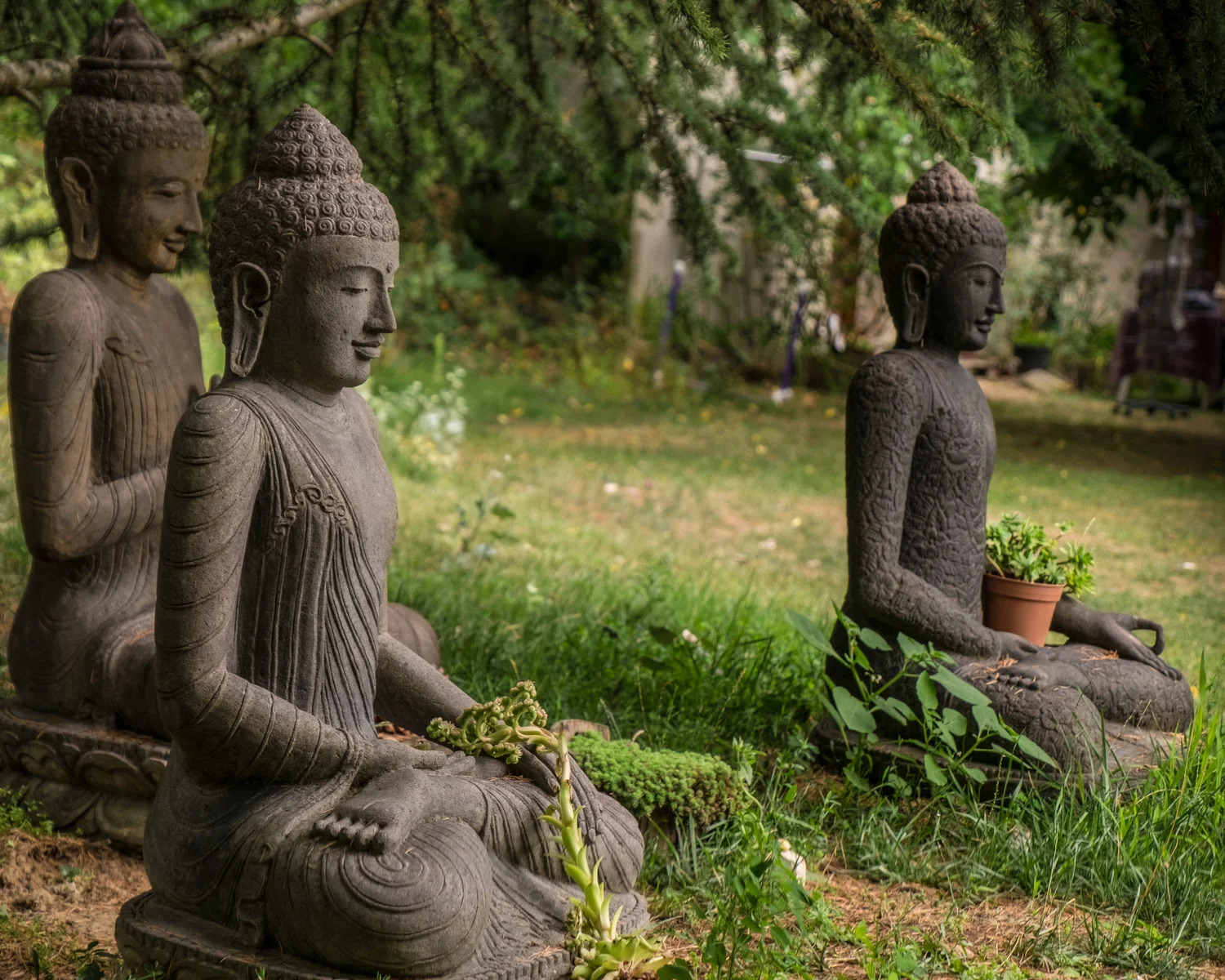 Love and Zen