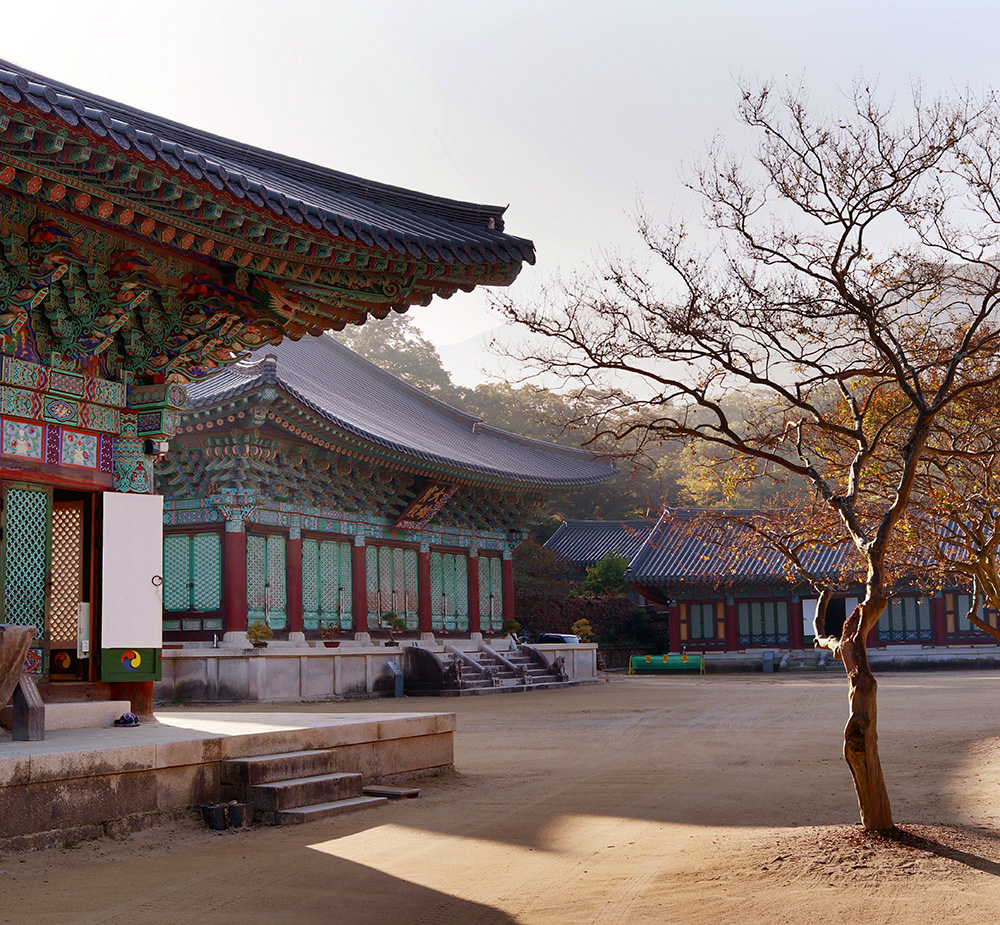 The Monk Who Walked Away