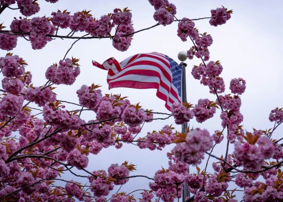 engaged buddhism and democracy