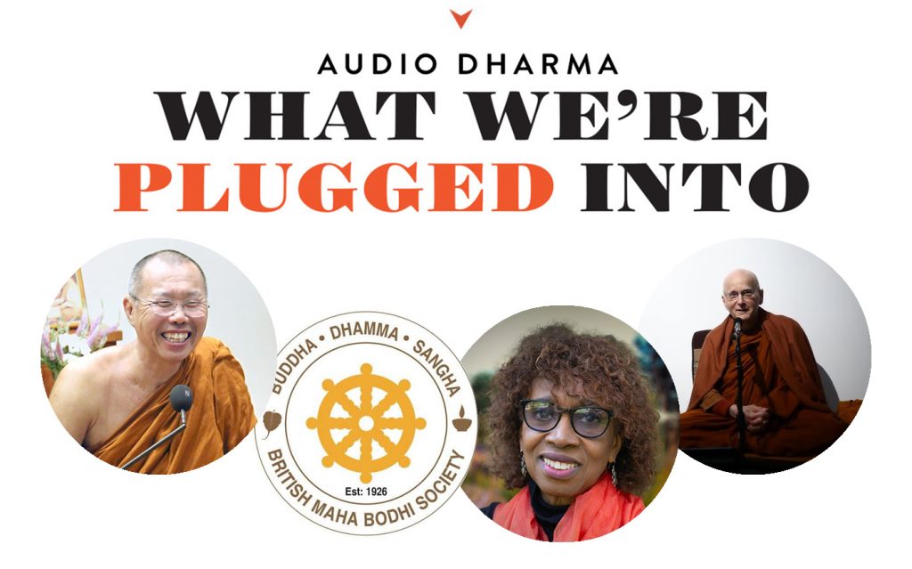 What We’re Plugged Into