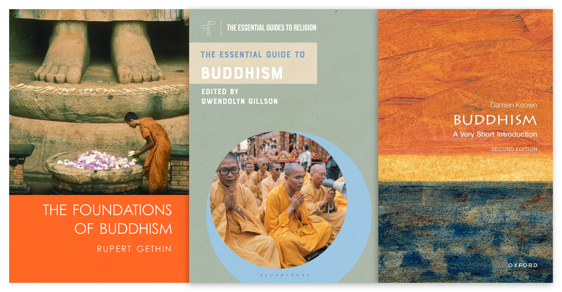 buddhist books general introductions