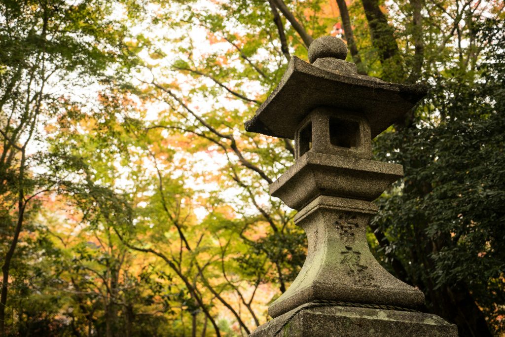 The Lantern of the Tea Master
