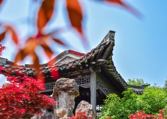 liu zongyuan poetry